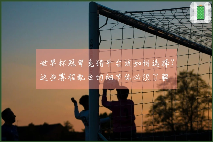 世界杯冠军竞猜平台该如何选择？这些赛程配合的细节你必须了解