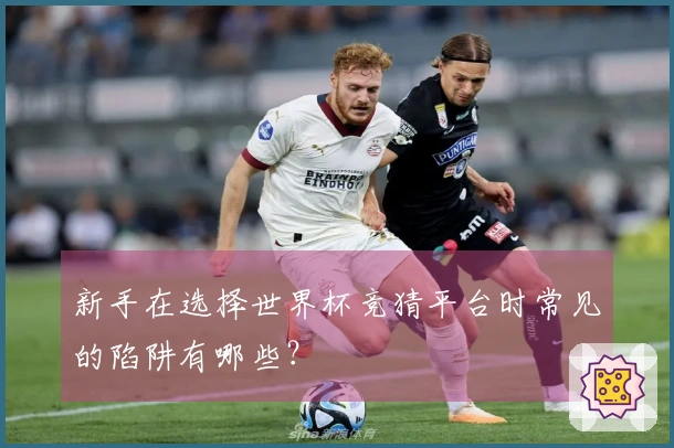 新手在选择世界杯竞猜平台时常见的陷阱有哪些？