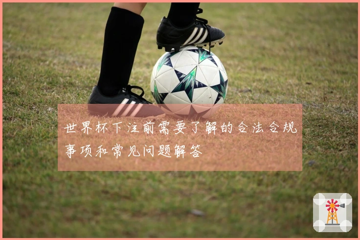 世界杯下注前需要了解的合法合规事项和常见问题解答