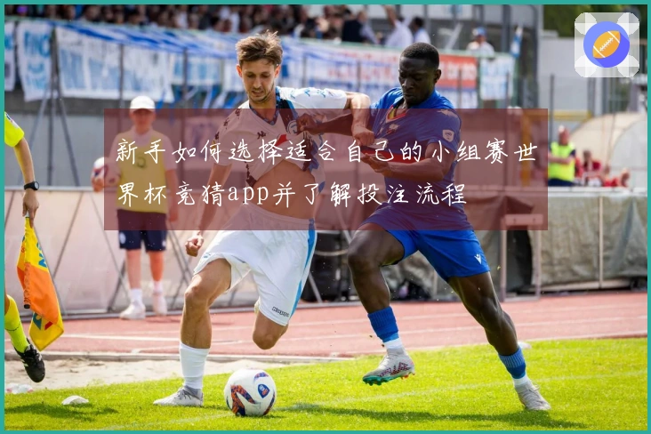 新手如何选择适合自己的小组赛世界杯竞猜app并了解投注流程