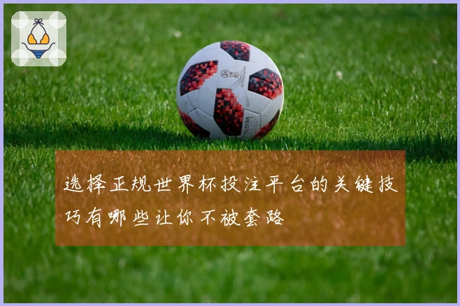 选择正规世界杯投注平台的关键技巧有哪些让你不被套路