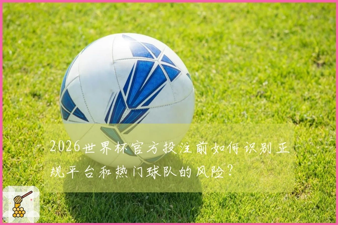 2026世界杯官方投注前如何识别正规平台和热门球队的风险？