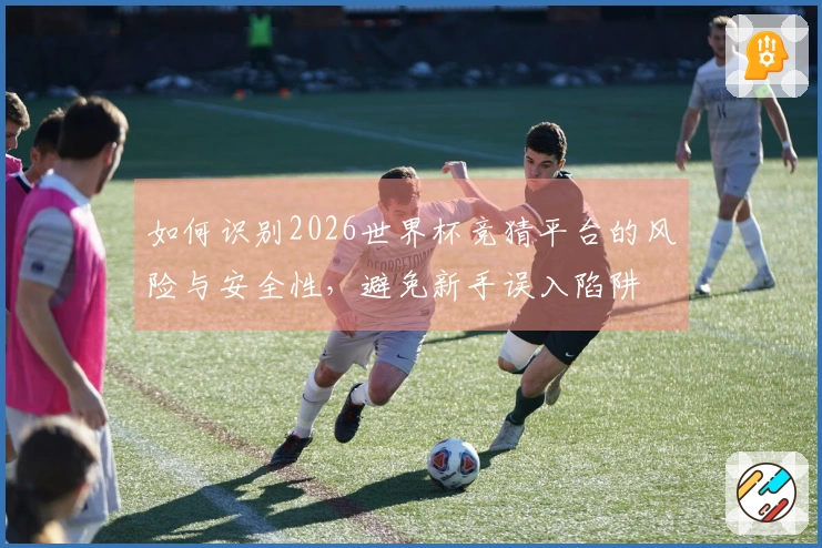如何识别2026世界杯竞猜平台的风险与安全性，避免新手误入陷阱