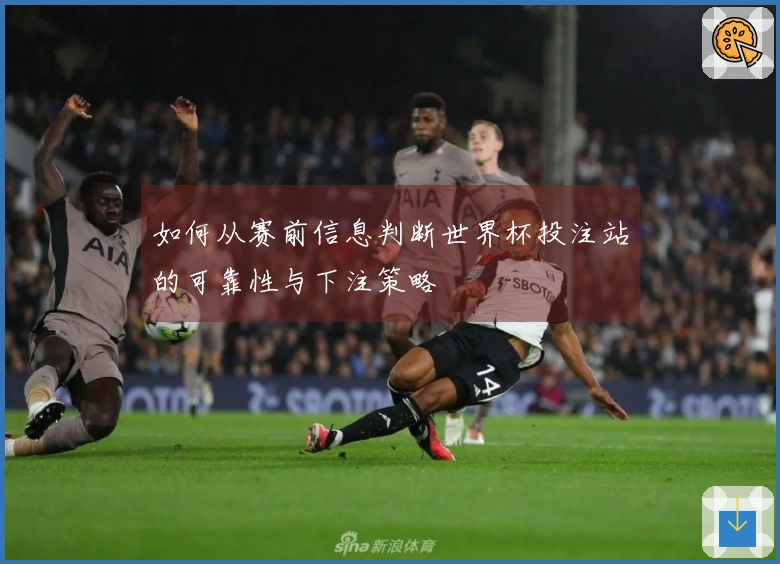 如何从赛前信息判断世界杯投注站的可靠性与下注策略