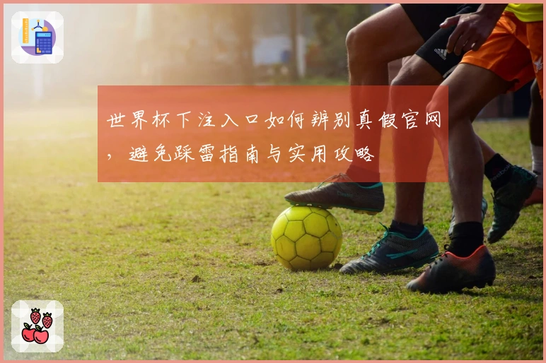 世界杯下注入口如何辨别真假官网，避免踩雷指南与实用攻略
