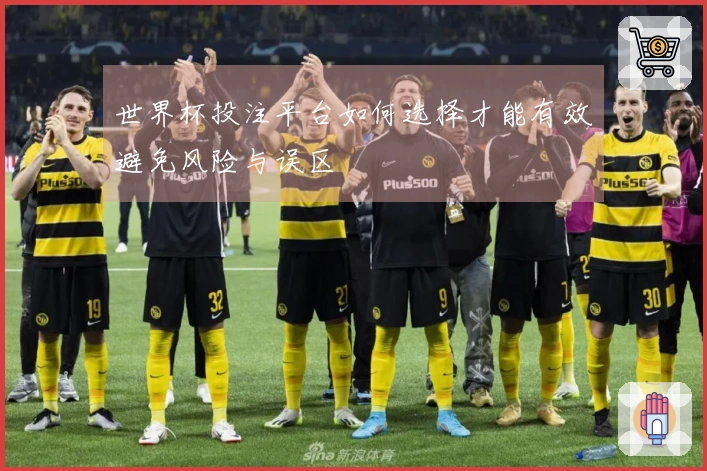 世界杯投注平台如何选择才能有效避免风险与误区