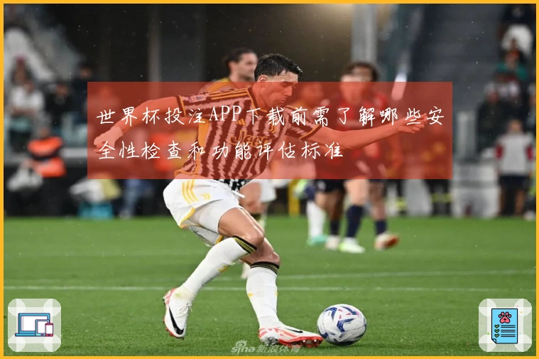 世界杯投注APP下载前需了解哪些安全性检查和功能评估标准