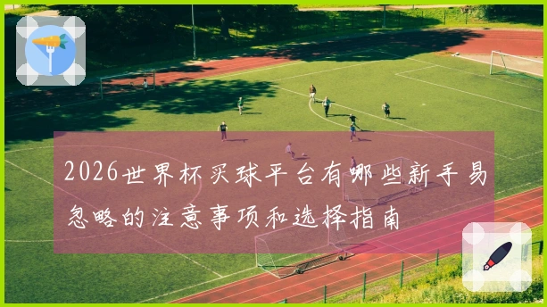 2026世界杯买球平台有哪些新手易忽略的注意事项和选择指南