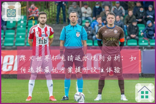 烽火世界杯竞猜返水规则分析：如何选择最优方案提升投注体验