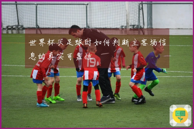 世界杯买足球时如何判断主客场信息的真实可靠性