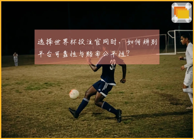 选择世界杯投注官网时，如何辨别平台可靠性与赔率公平性？