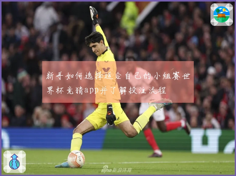 新手如何选择适合自己的小组赛世界杯竞猜app并了解投注流程