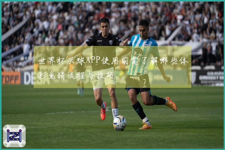 世界杯买球APP使用前需了解哪些体彩竞猜流程与技巧