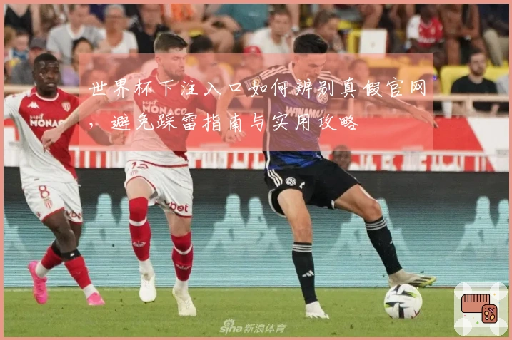 世界杯下注入口如何辨别真假官网，避免踩雷指南与实用攻略