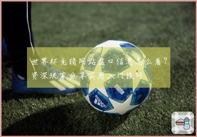 世界杯竞猜网站盘口信息怎么看？资深玩家分享实用入门技巧
