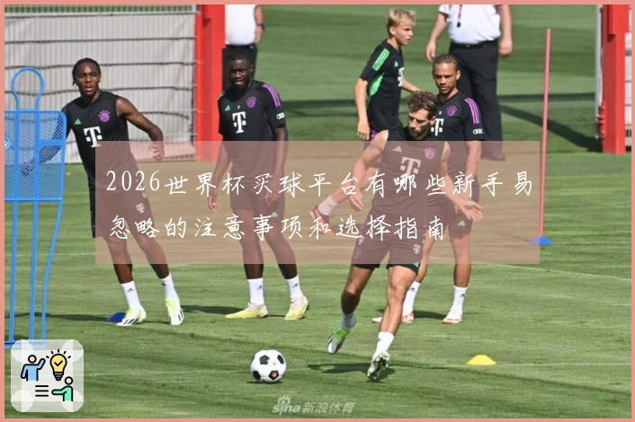2026世界杯买球平台有哪些新手易忽略的注意事项和选择指南