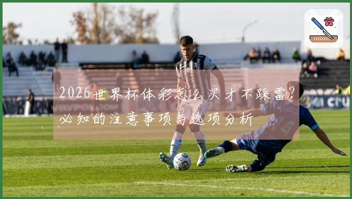 2026世界杯体彩怎么买才不踩雷？必知的注意事项与选项分析