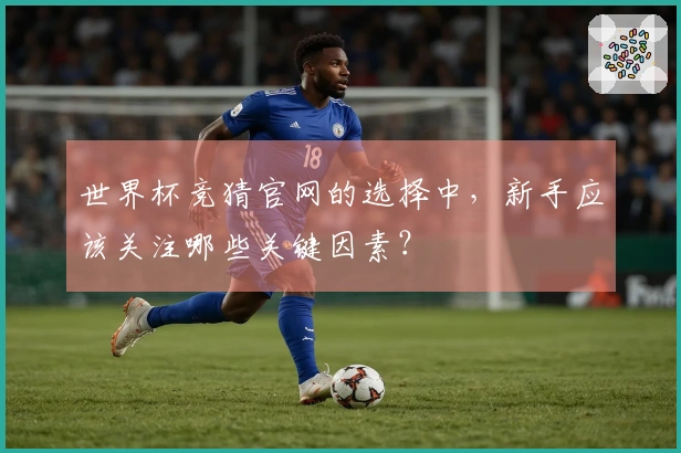 世界杯竞猜官网的选择中,新手应该关注哪些关键因素?