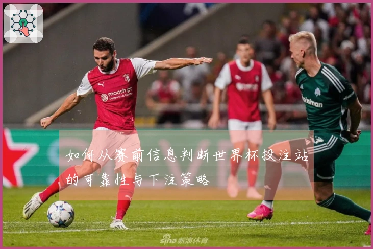 如何从赛前信息判断世界杯投注站的可靠性与下注策略