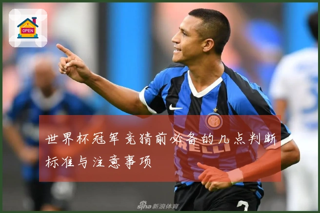 世界杯冠军竞猜前必备的几点判断标准与注意事项