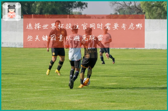 选择世界杯投注官网时需要考虑哪些关键因素以避免踩雷