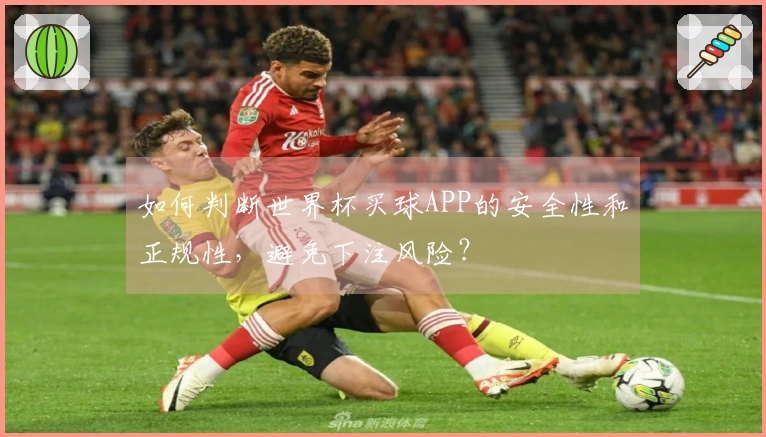 如何判断世界杯买球APP的安全性和正规性，避免下注风险？