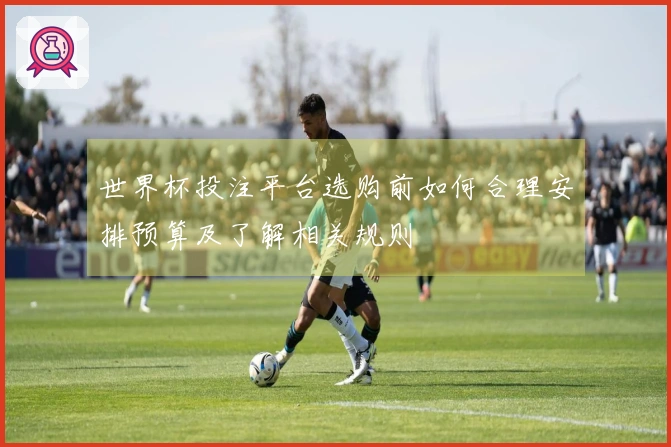 世界杯投注平台选购前如何合理安排预算及了解相关规则