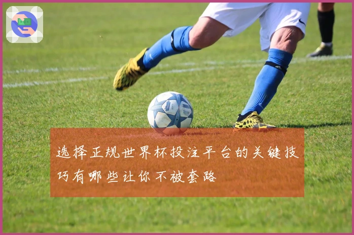 选择正规世界杯投注平台的关键技巧有哪些让你不被套路