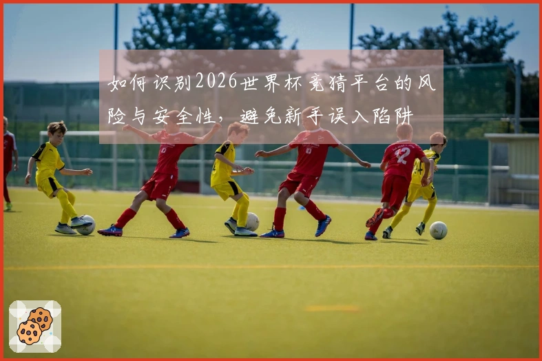 如何识别2026世界杯竞猜平台的风险与安全性，避免新手误入陷阱