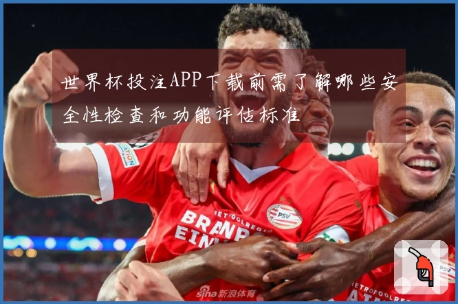 世界杯投注APP下载前需了解哪些安全性检查和功能评估标准