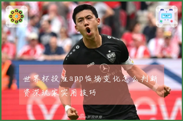 世界杯投注app临场变化怎么判断 资深玩家实用技巧