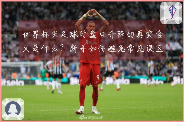世界杯买足球时盘口升降的真实含义是什么？新手如何避免常见误区？